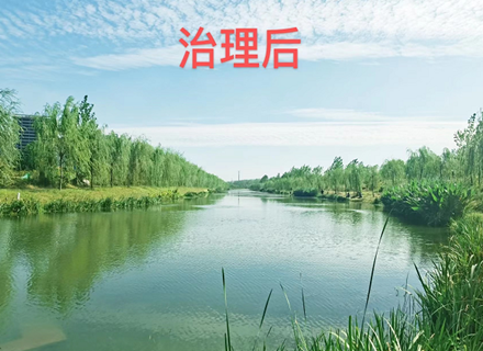 J9集团国际站【中国区】官方网站