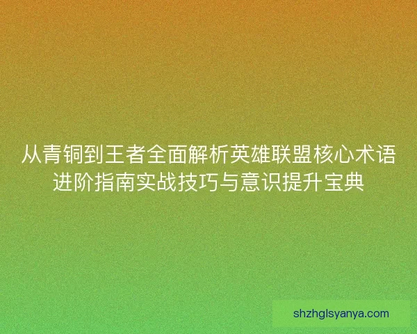 从青铜到王者全面解析英雄联盟核心术语进阶指南实战技巧与意识提升宝典